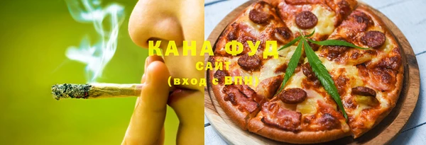 гидра Богородск