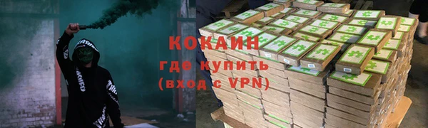 гидра Богородск