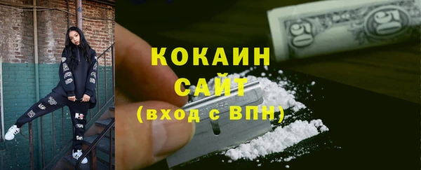 гидра Богородск