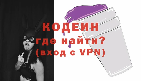 гидра Богородск
