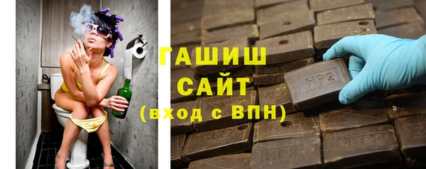 гидра Богородск