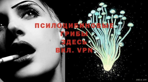 амфетамин Богданович