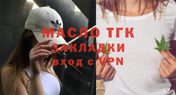 гидра Богородск