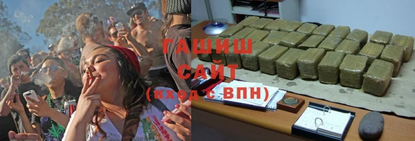 гидра Богородск